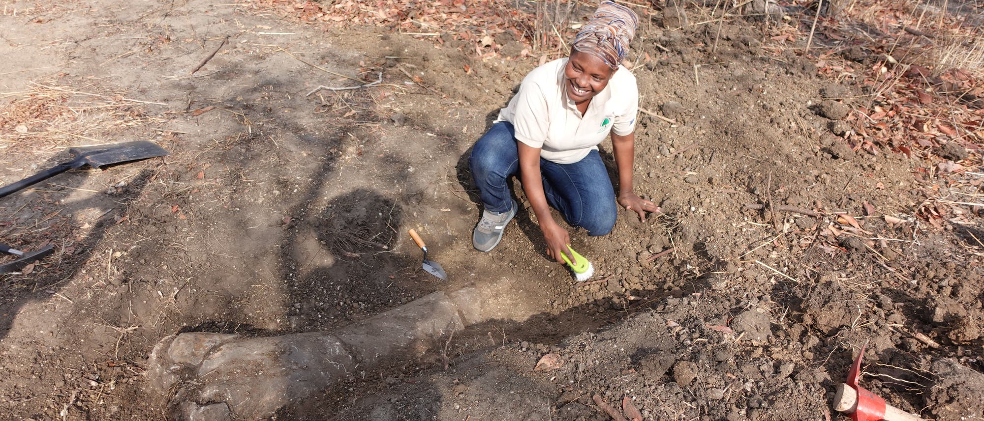 Ein Teammitglied aus Tansania bei der Freilegung eines Sauropodenknochens