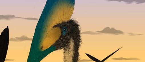 Pterosaurier Pterosaurier