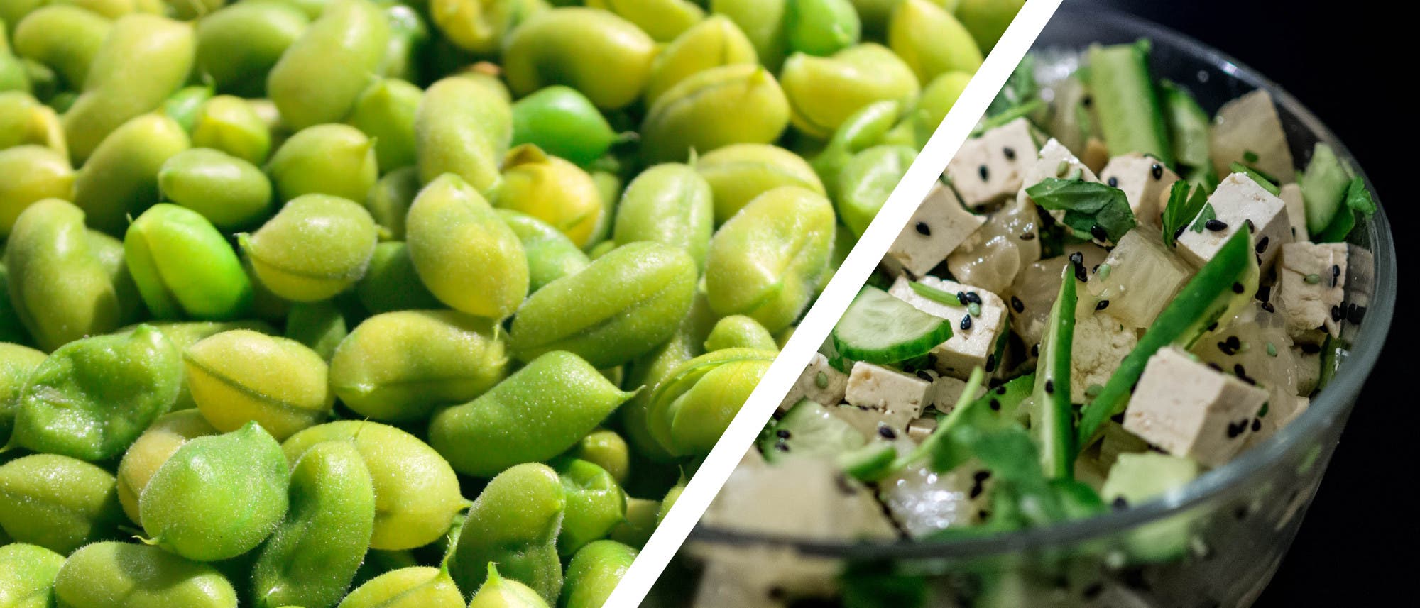 Tofu, Soja, Milch - Sojabohnen sind vielseitig Tofu, Soja, Milch - Sojabohnen sind vielseitig