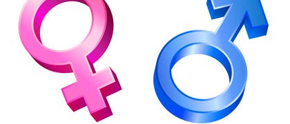 Geschlechterverteilung Geschlechterverteilung