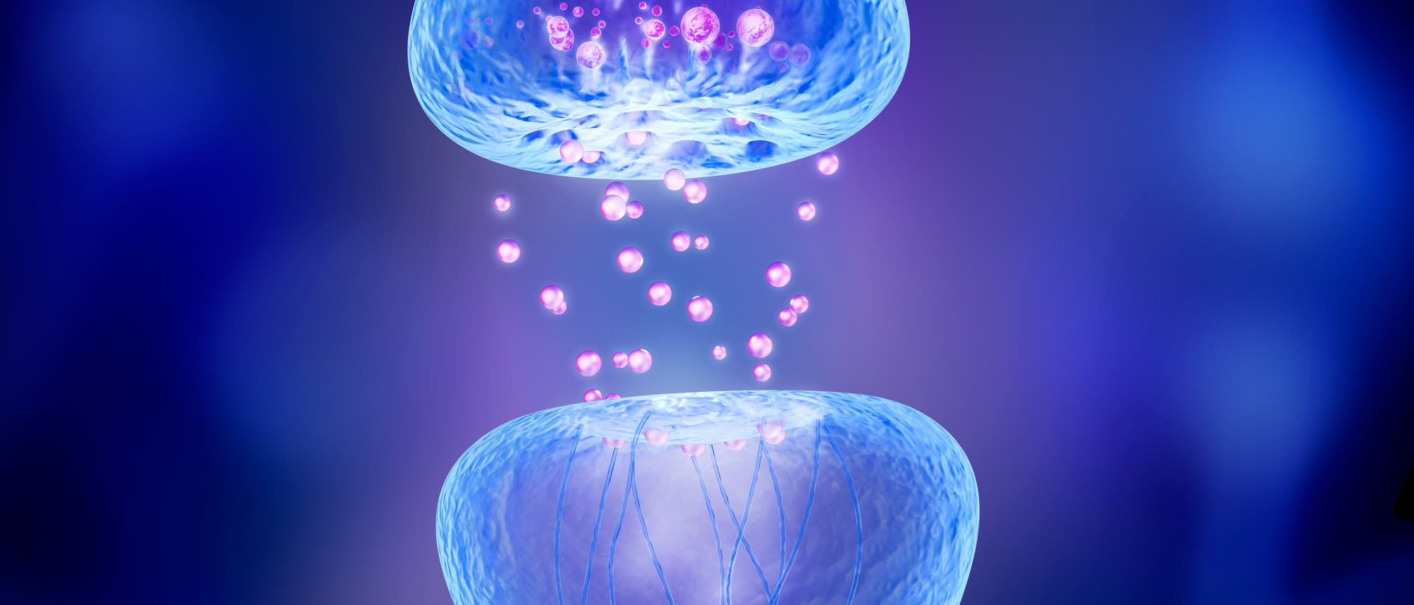 Künstlerische Darstellung einer Art Synapse Künstlerische Darstellung einer Art Synapse