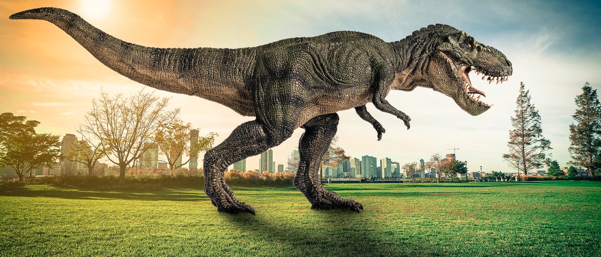 Modell eines T. rex im Park einer Großstadt Modell eines T. rex im Park einer Großstadt