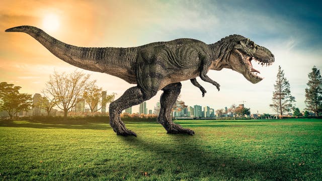 Modell eines T. rex im Park einer Großstadt