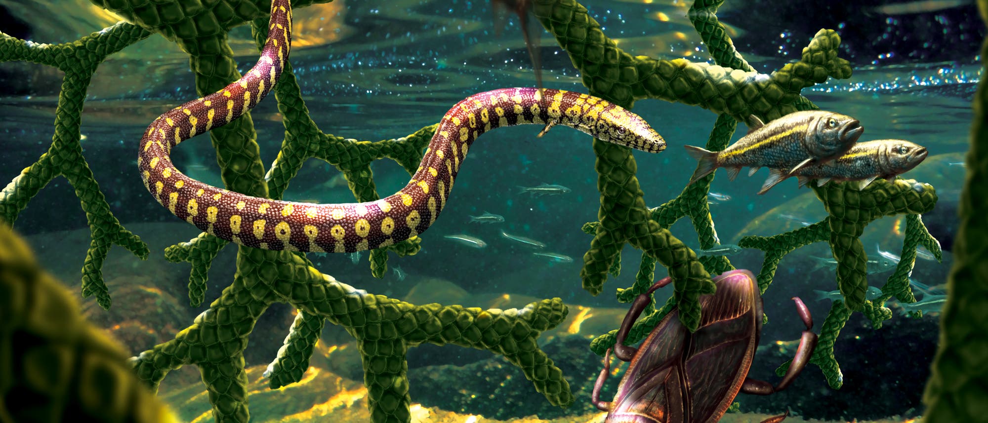 Die nur vermeintliche Urschlange lebte womöglich unter Wasser