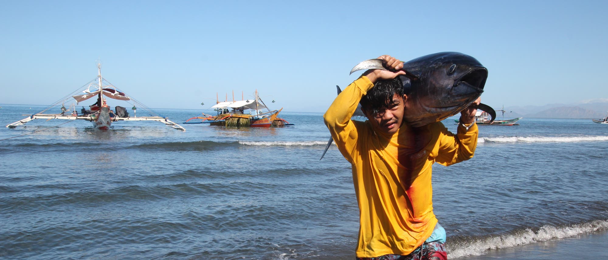 Ein stattlicher Gelbflossenthun auf den Schultern eines philippinischen Fischers Ein stattlicher Gelbflossenthun auf den Schultern eines philippinischen Fischers