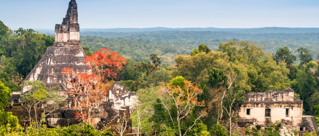 Tikal im Regenwald Guatemalas Tikal im Regenwald Guatemalas