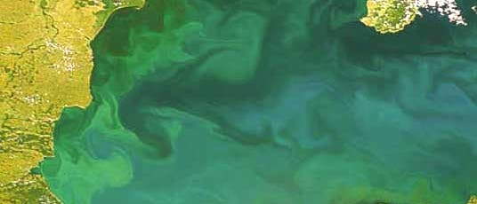 Bild Bild