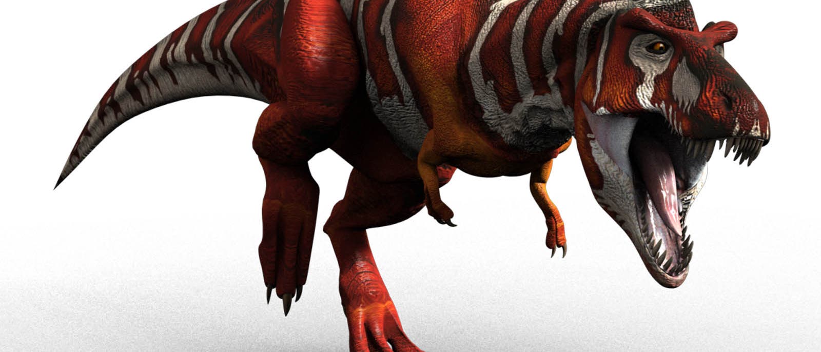 T. rex T. rex