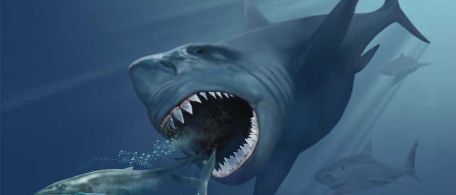 Der prähistorische Riesenhai Megalodon jagt zwei kleinere Bartenwale. Der prähistorische Riesenhai Megalodon jagt zwei kleinere Bartenwale.