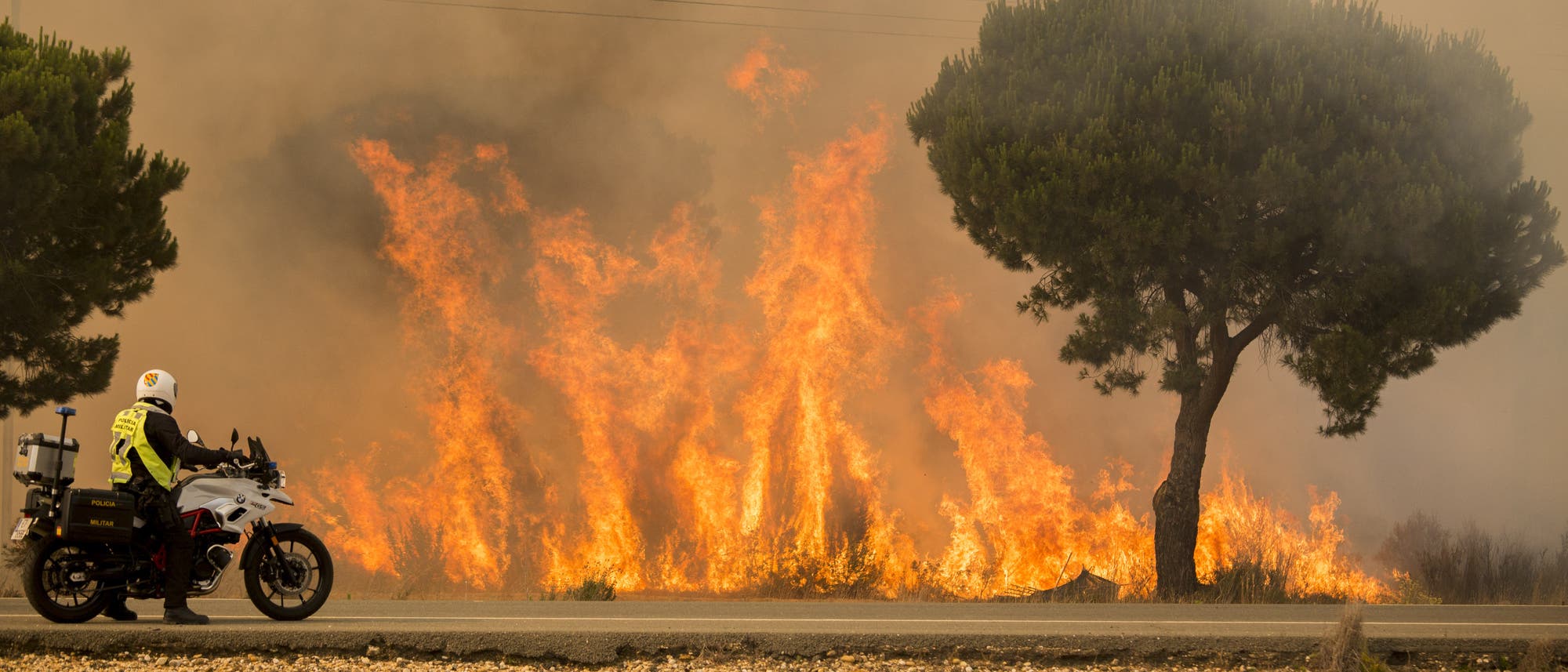 Polizist beobachtet das Flammenmeer im Süden Spaniens