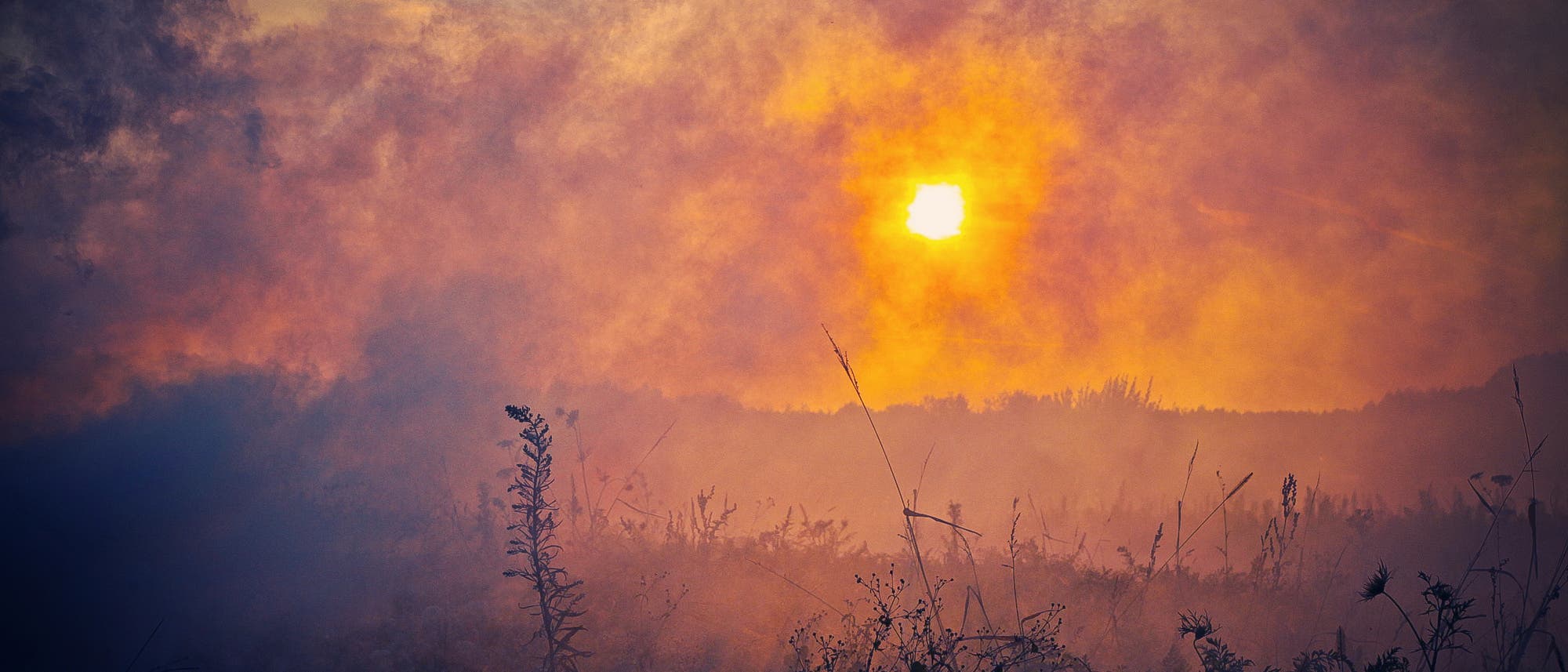 Waldbrand Waldbrand
