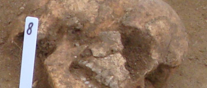 Keltengrab Keltengrab