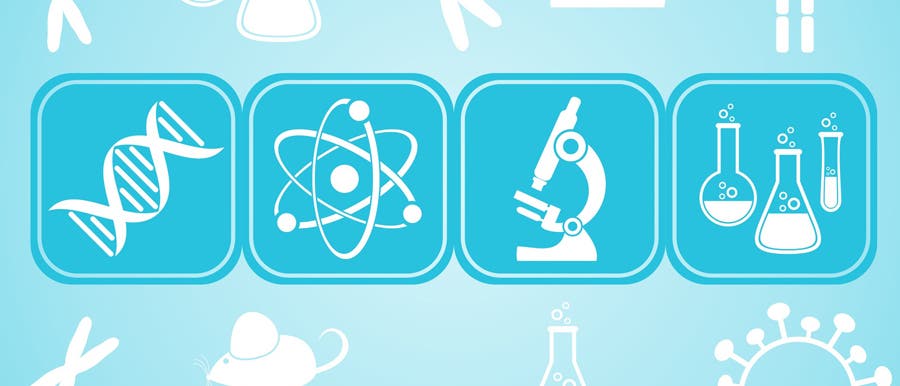 Wissenschaft Wissenschaft
