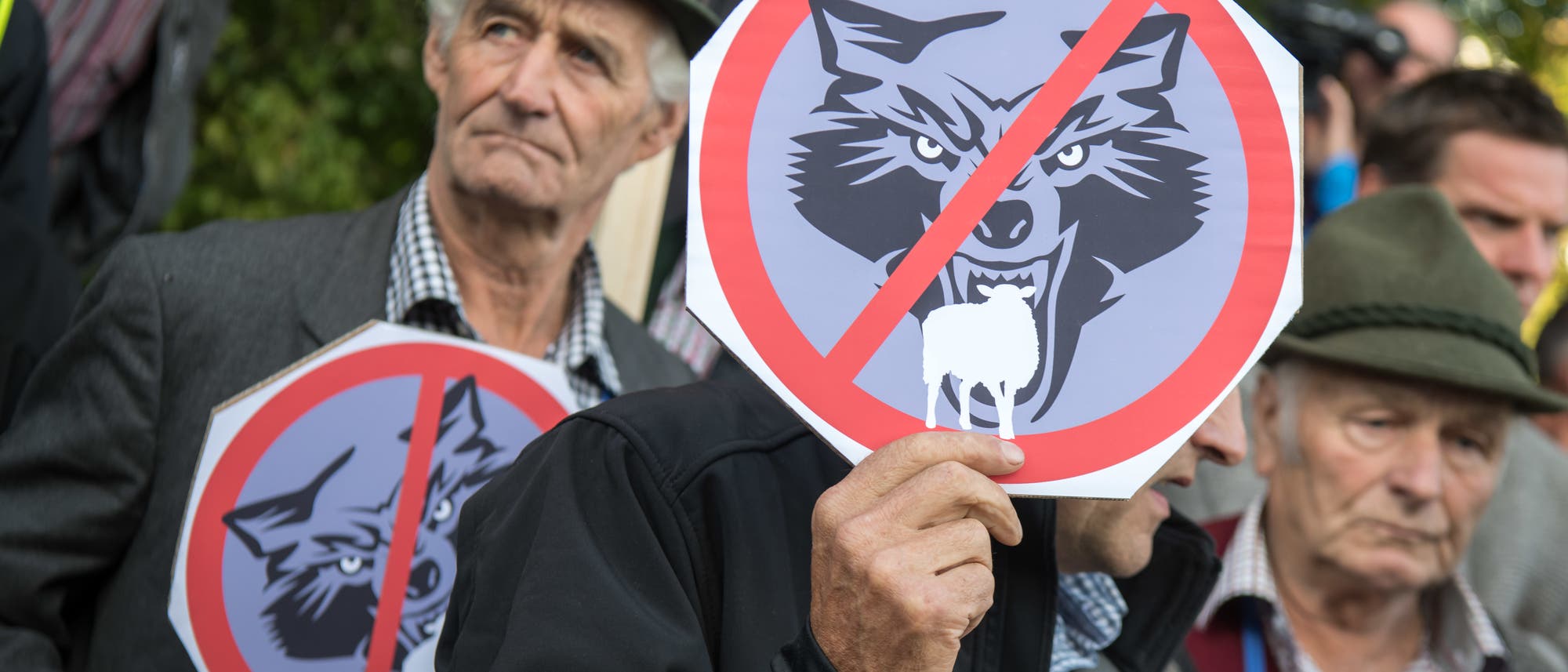 Wolfsgegner Wolfsgegner