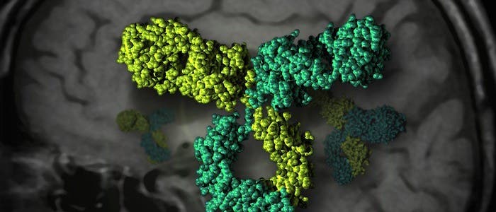 Bispezifischer Antikörper Bispezifischer Antikörper