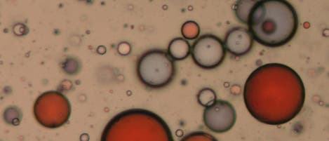 Emulsion Emulsion
