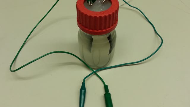 Mikrobielle Batterie