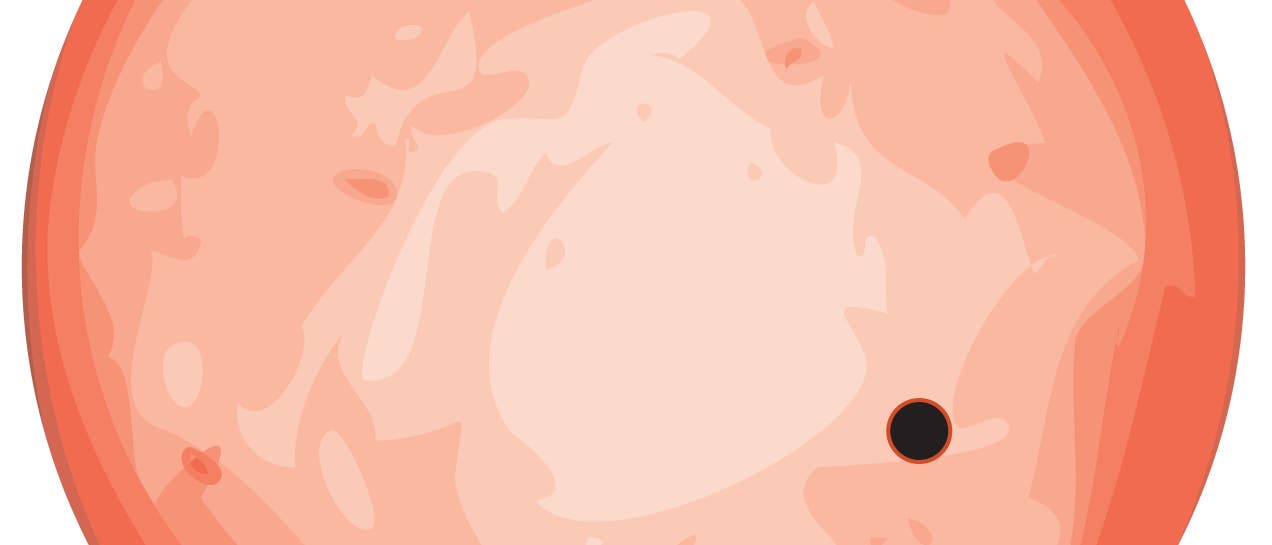 Exoplanet GJ 1132b im Vergleich zu seinem Stern (künstlerische Darstellung) Exoplanet GJ 1132b im Vergleich zu seinem Stern (künstlerische Darstellung)