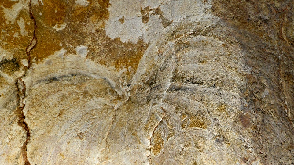 Detail der Höhlenmalerei
