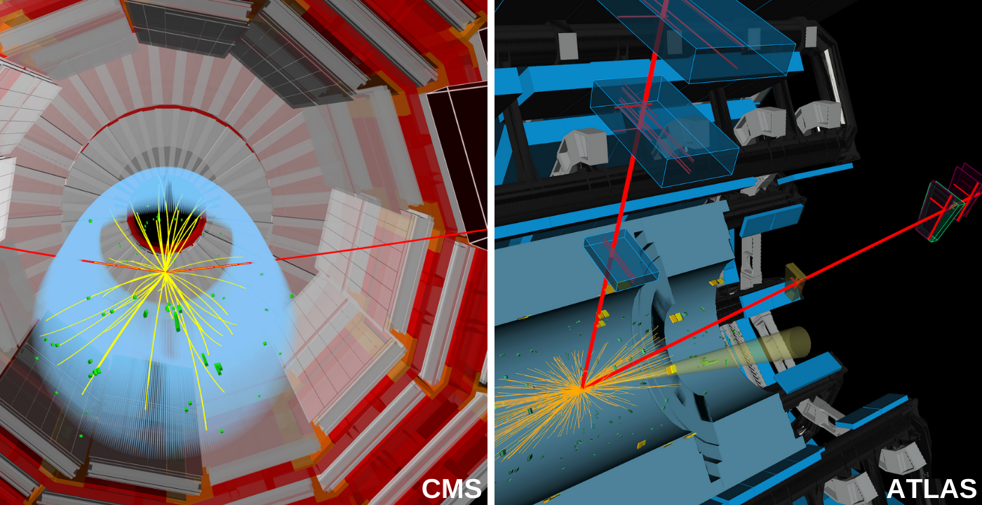 Zerfall des Higgs in Myonen im ATLAS- und im CMS-Detektor