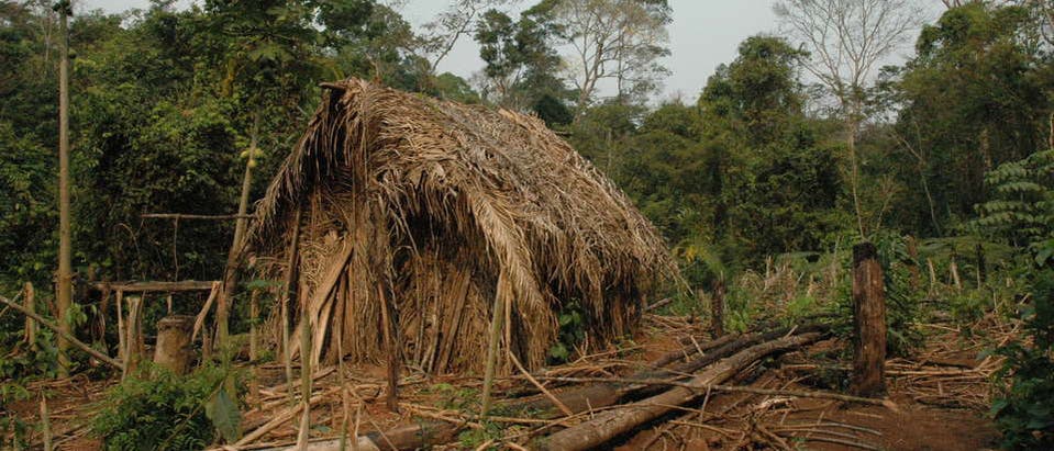 Hütte des letzten Indios Hütte des letzten Indios