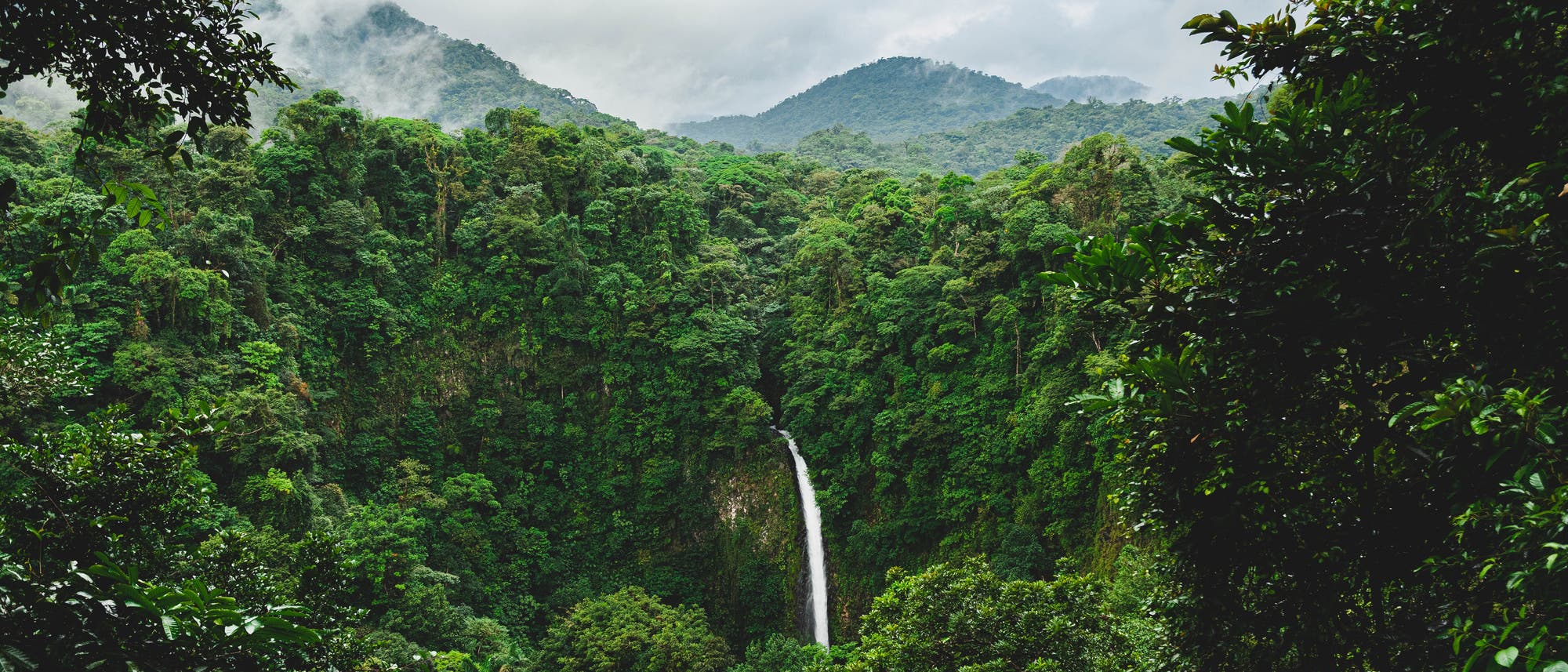 Regenwald und La Fortuna Waterfall in Alajuela, Costa Rica Regenwald und La Fortuna Waterfall in Alajuela, Costa Rica