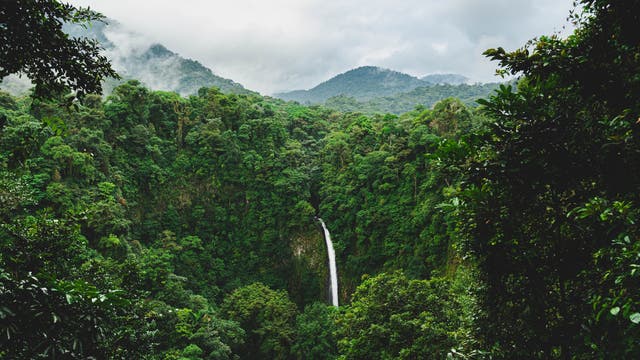 Regenwald und La Fortuna Waterfall in Alajuela, Costa Rica