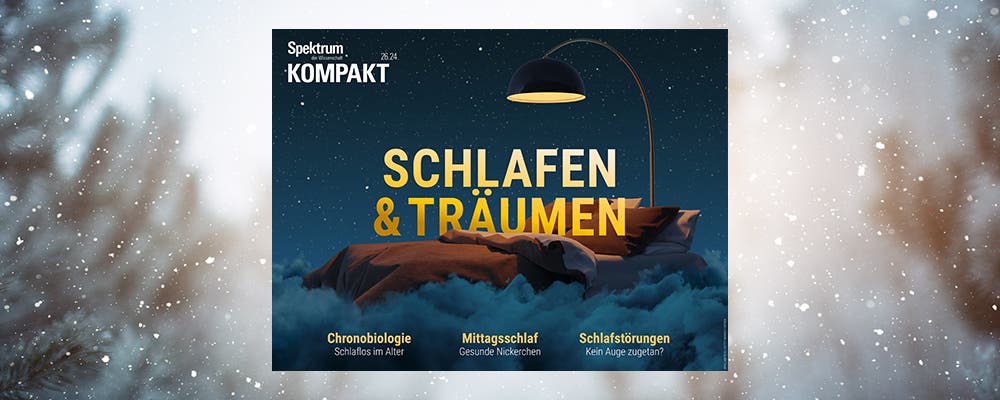 Vorteilswelt XMas 2024_Kompakt Schlafen und Träumen Coverbild