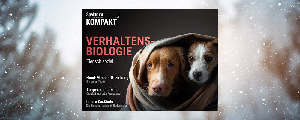 Vorteilswelt XMas 2024_Kompakt Tierisch Sozial Coverbild