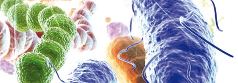 Autophage