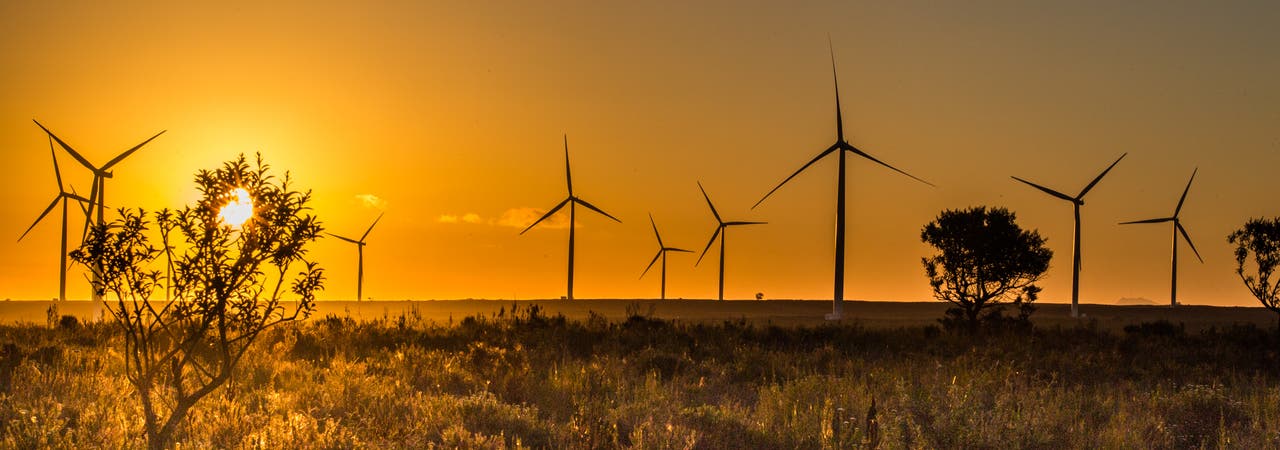 Die Jeffreys Bay Wind Farm an der windreichen Südküste Südafrikas westlich von Port Elizabeth liefert reichlich 50 Megawatt elektrische Energie im Jahresdurchschnitt – ausreichend für 100 000 Haushalte.