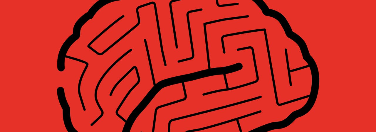 Navigieren im Labyrinth des Gehirns