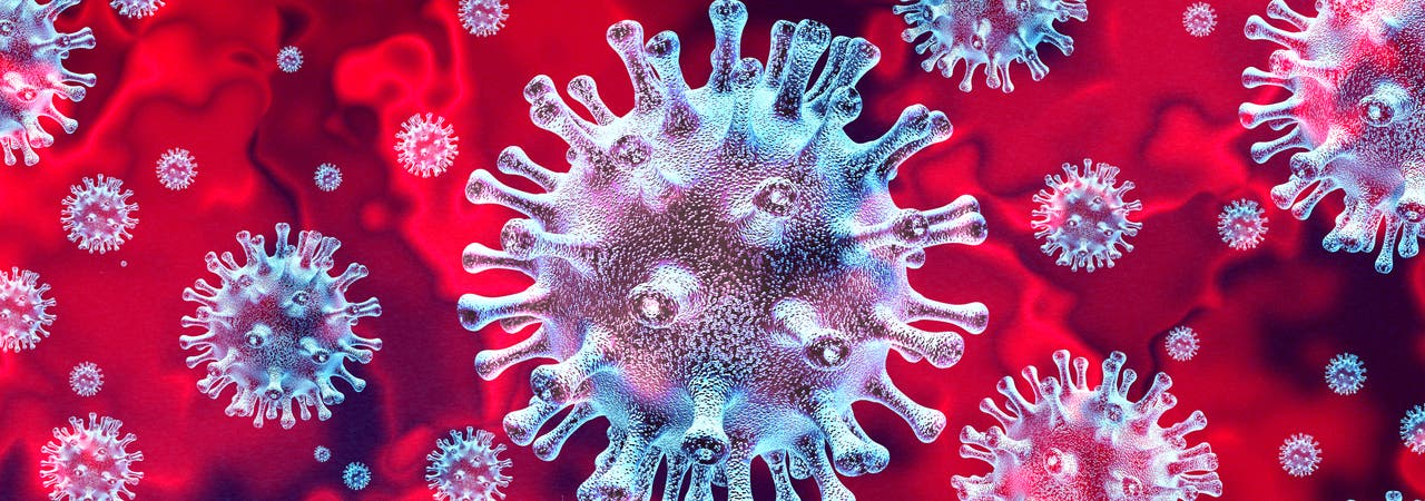 Die Simulation zeigt ein Coronavirus.