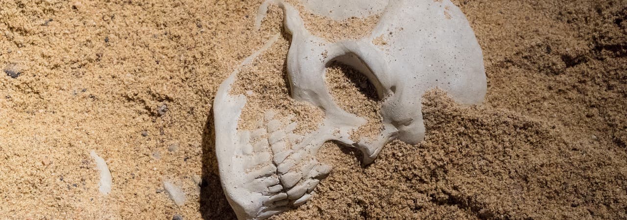 Menschlicher Schädel im Sand