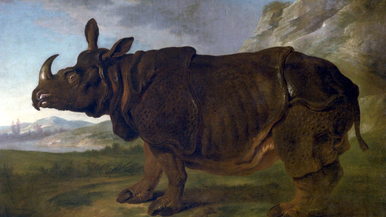 Ein Nashorn steht in einer malerischen Landschaft mit Bergen im Hintergrund. Das Tier ist detailliert dargestellt, mit einer dicken, faltigen Haut und einem markanten Horn. Der Himmel ist leicht bewölkt, und die Szene vermittelt eine ruhige, natürliche Umgebung.