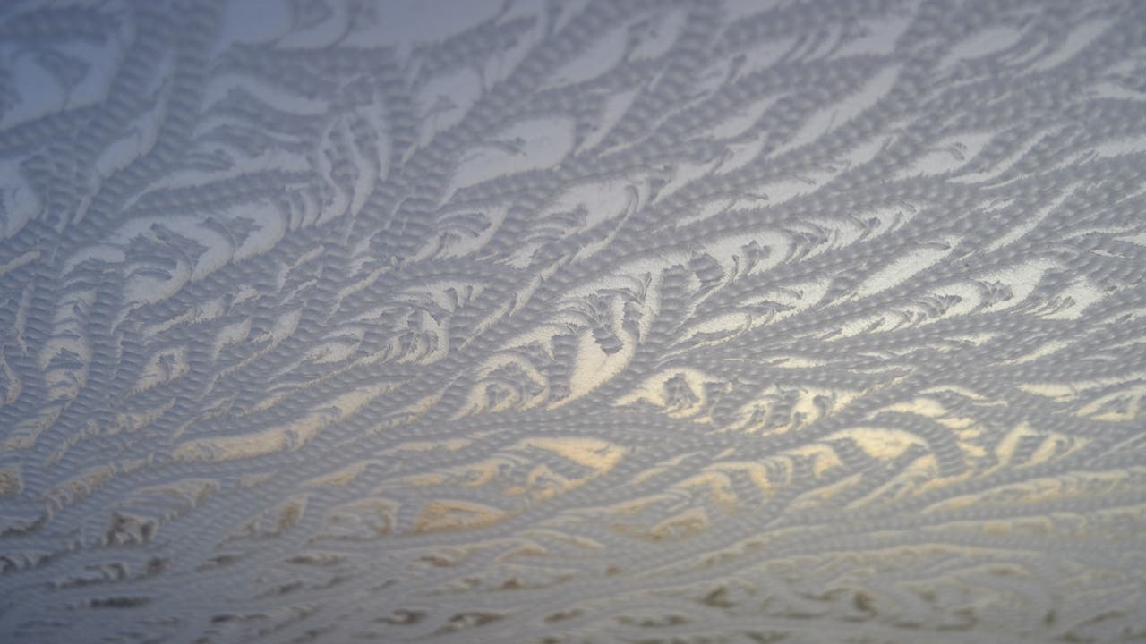 Eine Nahaufnahme von Eisblumen auf einer Fensterscheibe. Die frostigen Muster bilden komplexe, filigrane Strukturen, die an Pflanzen oder Federn erinnern. Das Licht scheint durch das Glas und erzeugt einen sanften, bläulichen Schimmer.