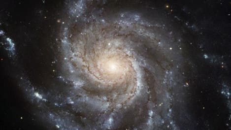 Sternspirale: Die Galaxie M101