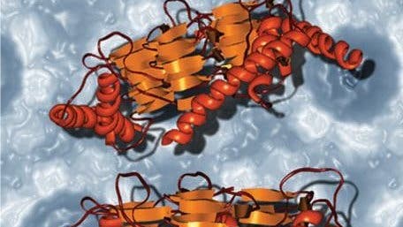 Prionen als Krankheitserreger Spektrum der Wissenschaft