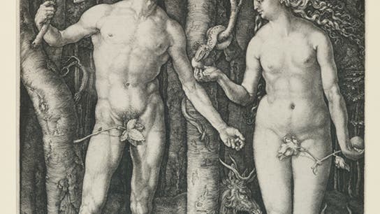 Dürer beschäftigte sich