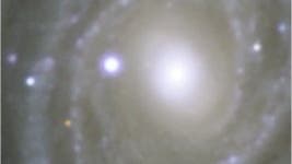 Spiralgalaxie NGC 1288