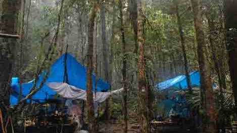 Camp im Unterholz