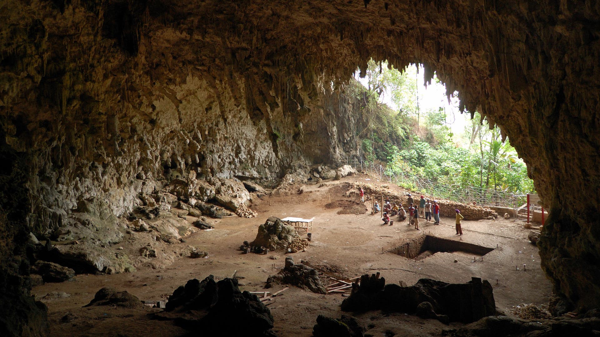 Homo floresiensis: Apakah keturunan hobbit dari Flores masih hidup sampai sekarang?