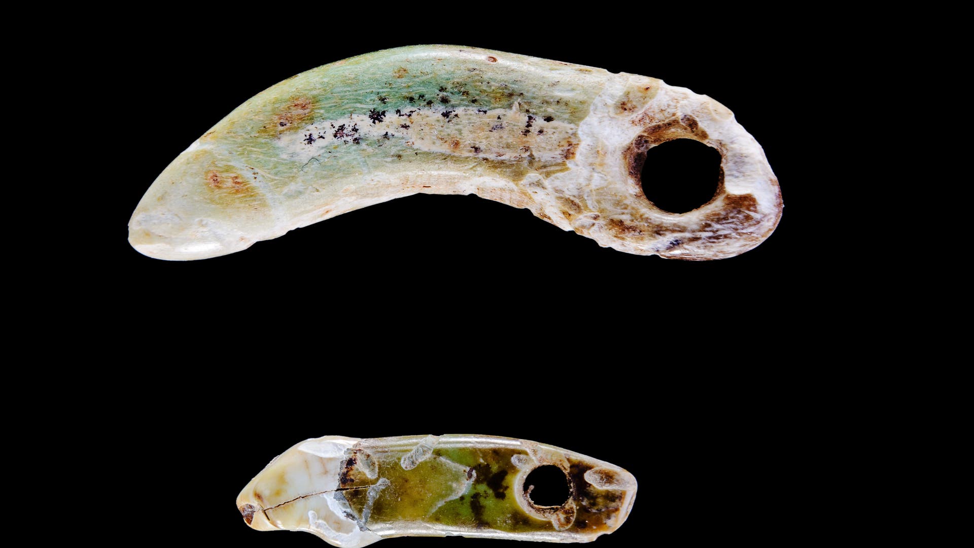Zwei prähistorische Schmuckanhänger aus Stein auf schwarzem Hintergrund. Der obere Anhänger hat eine gebogene, klauenartige Form mit einem Loch an einem Ende und zeigt grünliche und bräunliche Verfärbungen. Der untere Anhänger ist kleiner, flacher und ebenfalls mit einem Loch versehen, mit einer unregelmäßigen Oberfläche und grünlichen Tönen. Beide Anhänger scheinen aus einem natürlichen Material gefertigt zu sein und könnten als antiker Schmuck verwendet worden sein.