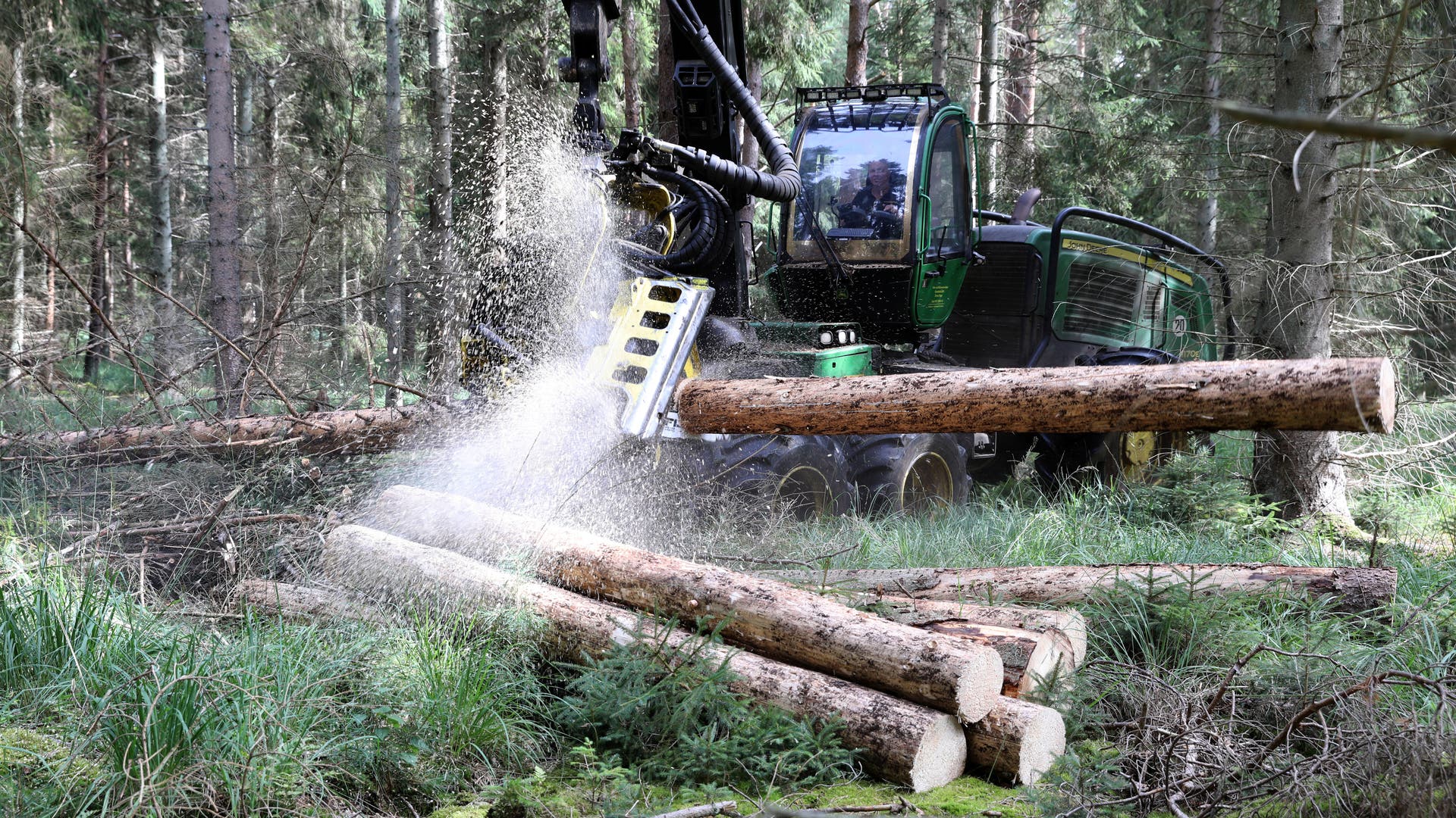 Neues-Bundeswaldgesetz-Legaler-Kahlschlag-f-r-den-deutschen-Wald