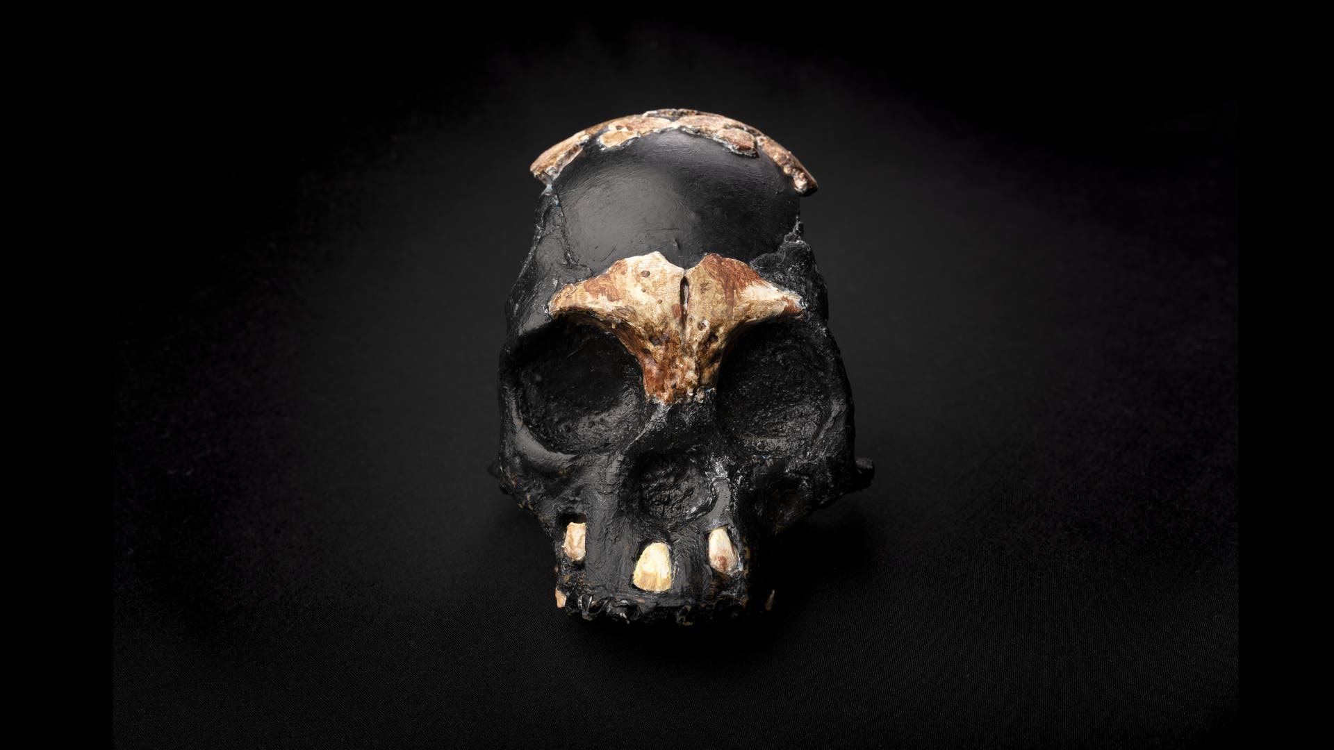 Homo naledi: Seberapa cerdaskah manusia prasejarah?