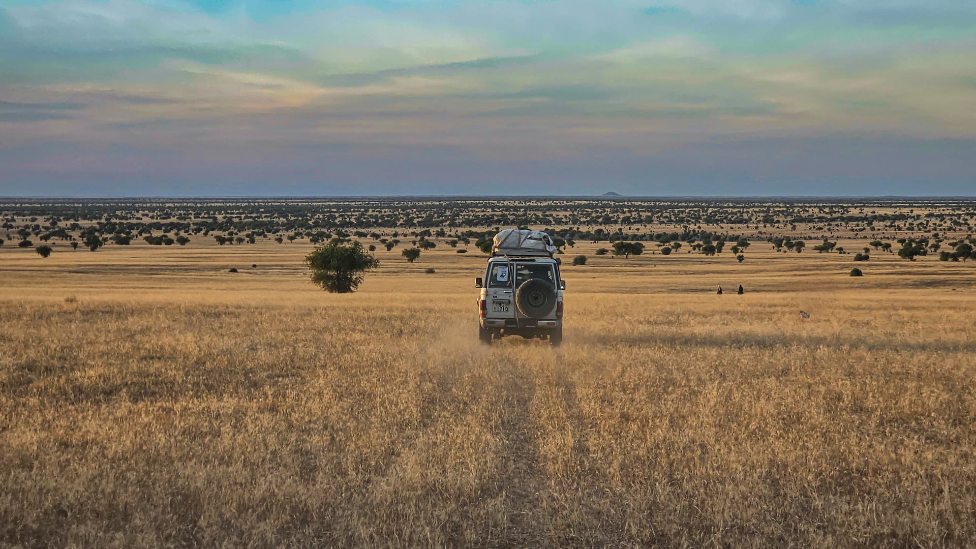 Risikoreise-Mysteri-se-Vogelart-nach-fast-100-Jahren-wiederentdeckt