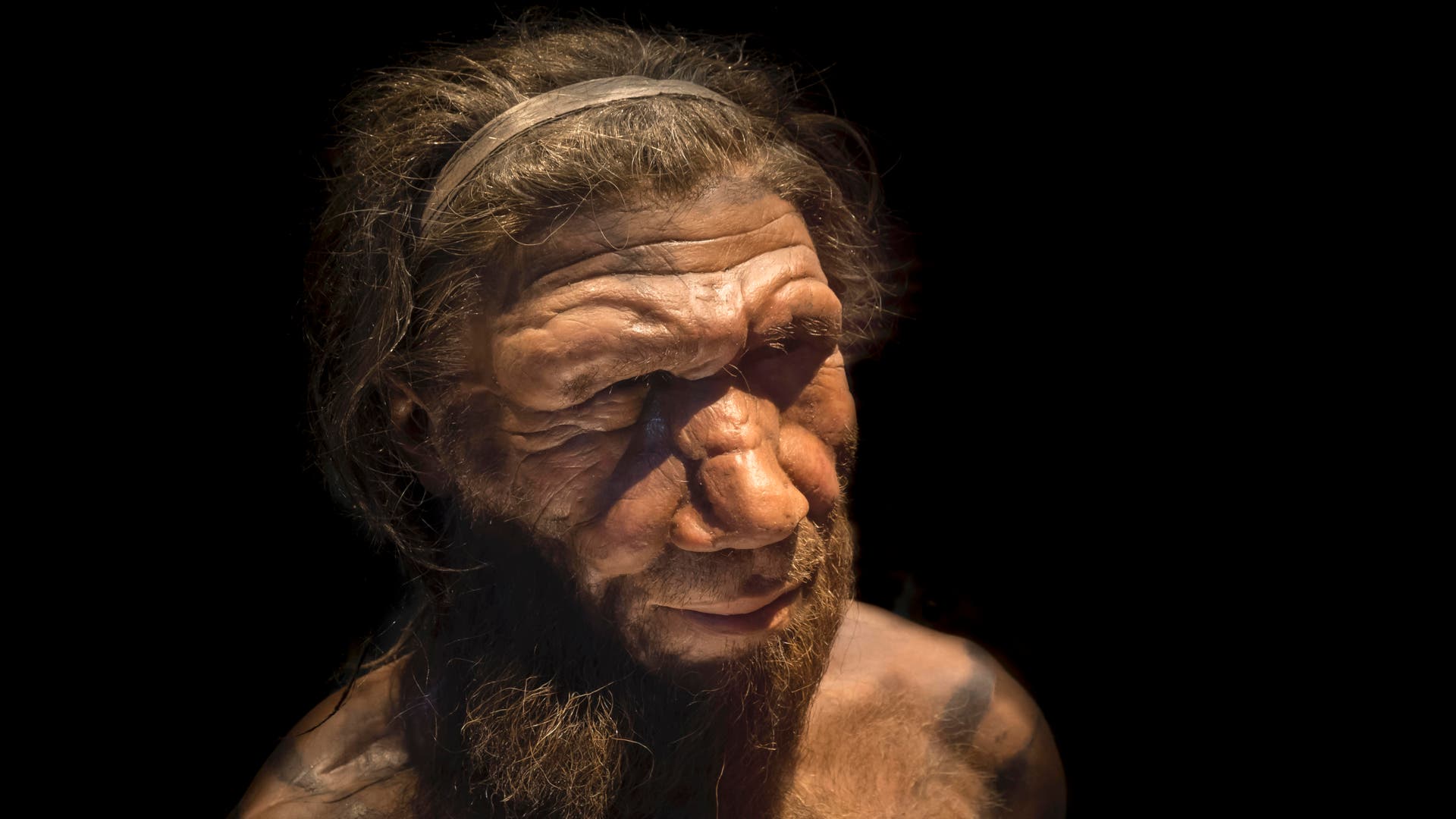 Skelett-in-der-H-hlenwand-Waren-Neandertaler-doch-keine-K-ltespezialisten-