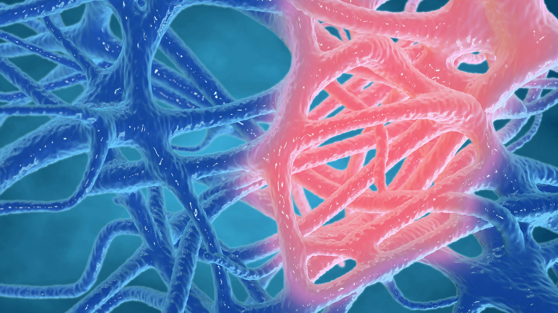 Die-echte-Rolle-der-Pathologie