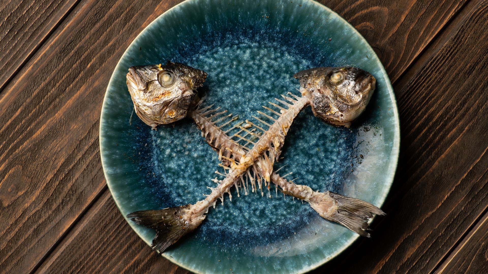 Unwahrscheinlich-t-dlich-Tod-durch-Gr-te