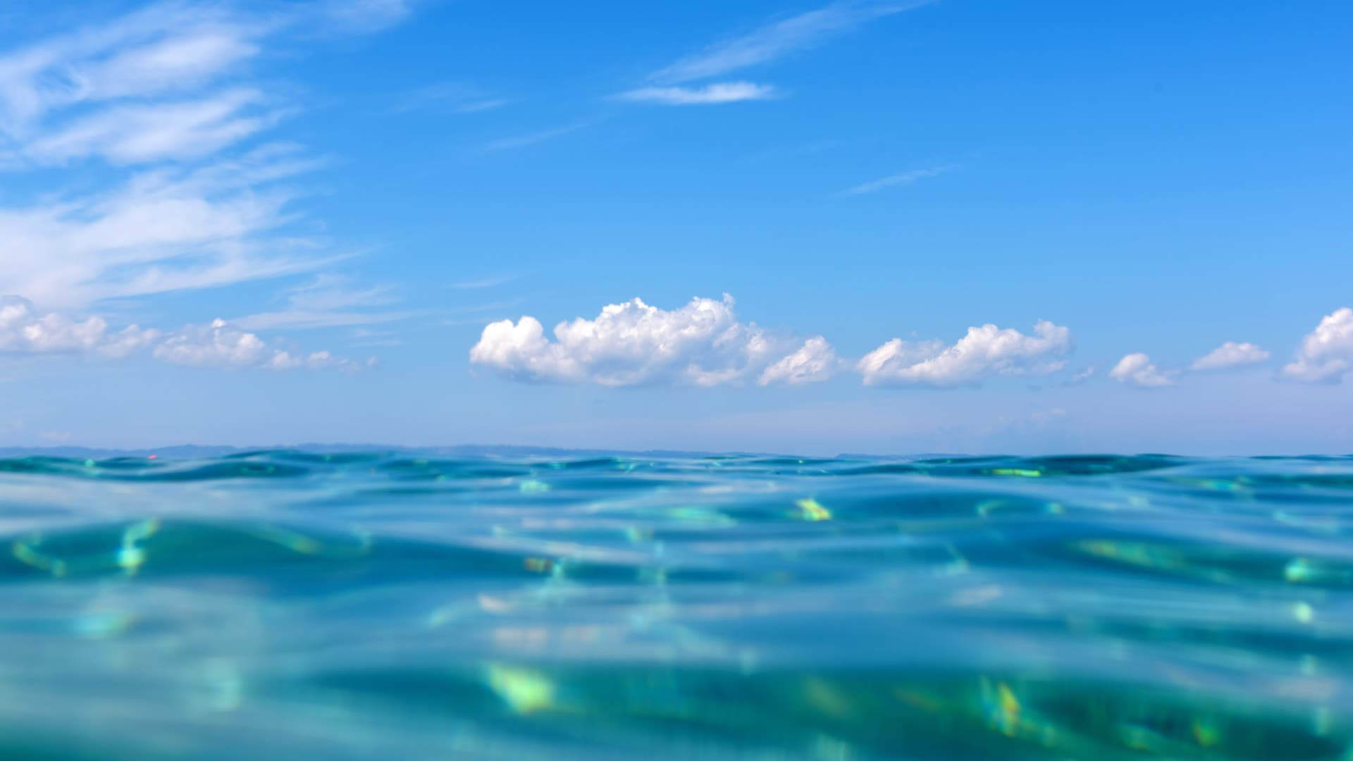 Klimawandel bedroht sauerstoffproduzierende Mikroben